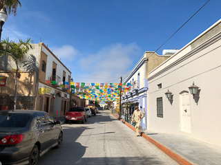 flyfishing-Todos-Santos