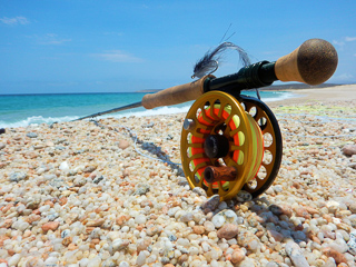 🔥 Free download Saltwater Fly Fishing Wallpaper Saltwater Fly