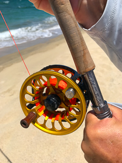 Bauer-Fly-Reels-Jeff-Currier