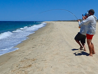 Jeff-Currier-Grant-Hartman-roosterfish