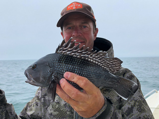 jeff-currier-sea-bass