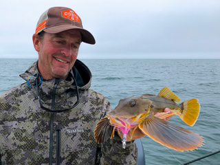 jeff-currier-sea-robin