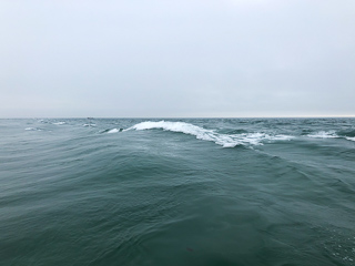 wasque-beach-striper-fishing