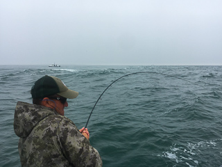 Jeff-Currier-striped-bass