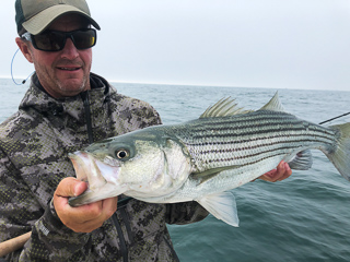 Jeff-Currier-Cape-Cod