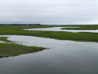 estuary-striper-fishing
