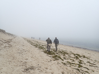 beach-fishing-cape-cod