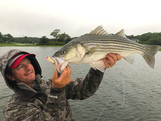 striped-bass-Jeff-Currier