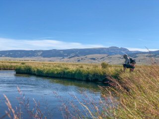 trout-fishing-wyoming