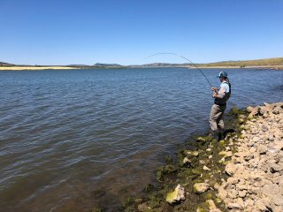 Jeff-Currier-carp-fly