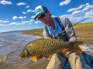 Jeff-Currier-fully-scaled-mirror-carp