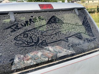 jeff-currier-fish-art