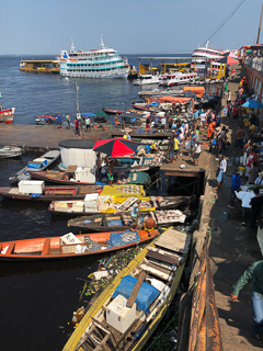 Manaus-fish-market