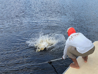fly-fishing-peacock-bass
