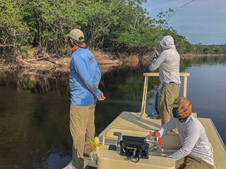 flyfishing-for-peacock-bass