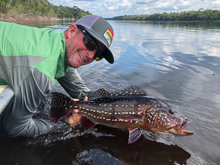 Jeff-Currier-paca-peacock