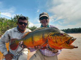 huge-peacock-bass