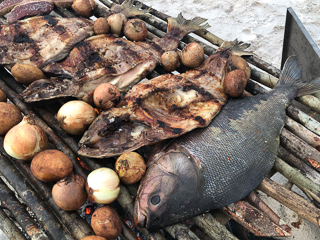 untamed-angling-amazon