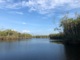 amazon-river-fishing