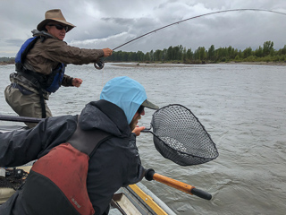 Latham-Jenkins-One-Fly