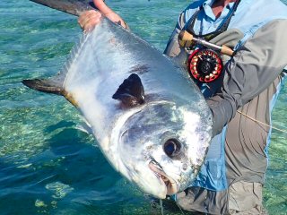 fly-fishing-the-flats
