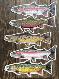 fish-decals