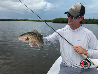 fly-fishing-for-snapper