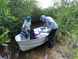 fly-fishing-Mexico