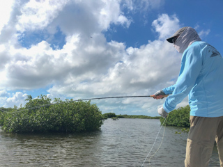 tarpon-fishing