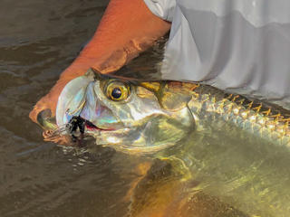 tarpon-flies