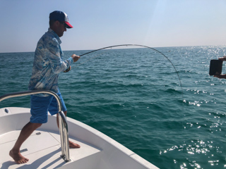 Jeff-Currier-Africanus