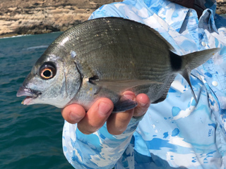 Oman-bream-fishing