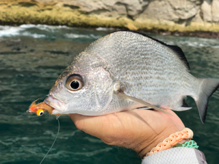 bream-fishing-oman