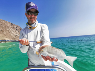 Jeff-Currier-fish-species