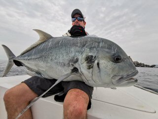 Giant-trevally