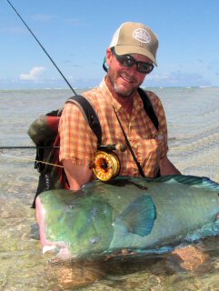 bumphead-parrotfish