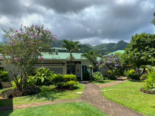 fly-fishing-seychelles