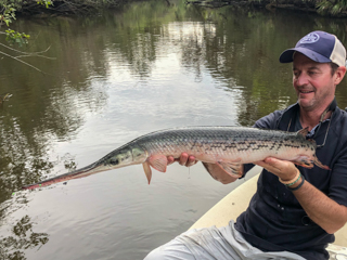 longnose-gar-Jeff-Currier