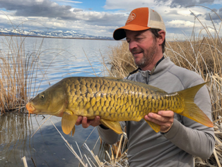 Jeff-Currier-mirror-carp