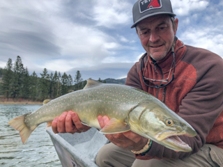 Jeff-Currier-bull-trout
