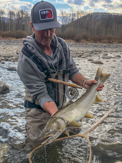 Jeff-Currier-bull-trout