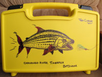 cliff-box-swimming-fish