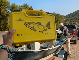 swimming-fish-taking-flies-cliff