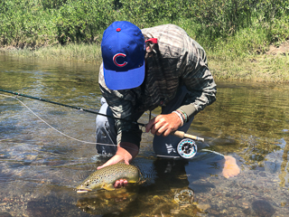 chicago-cubs-currier