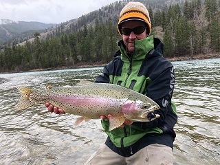 huge-rainbow-trout