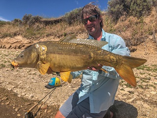 Currier-huge-carp