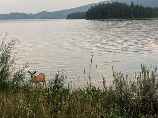 Hebgen-Lake
