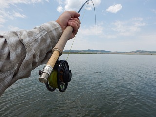 bauer-fly-reels