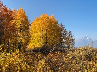 Tetons