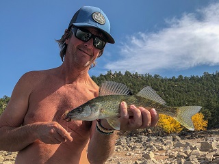 walleye-on-fly